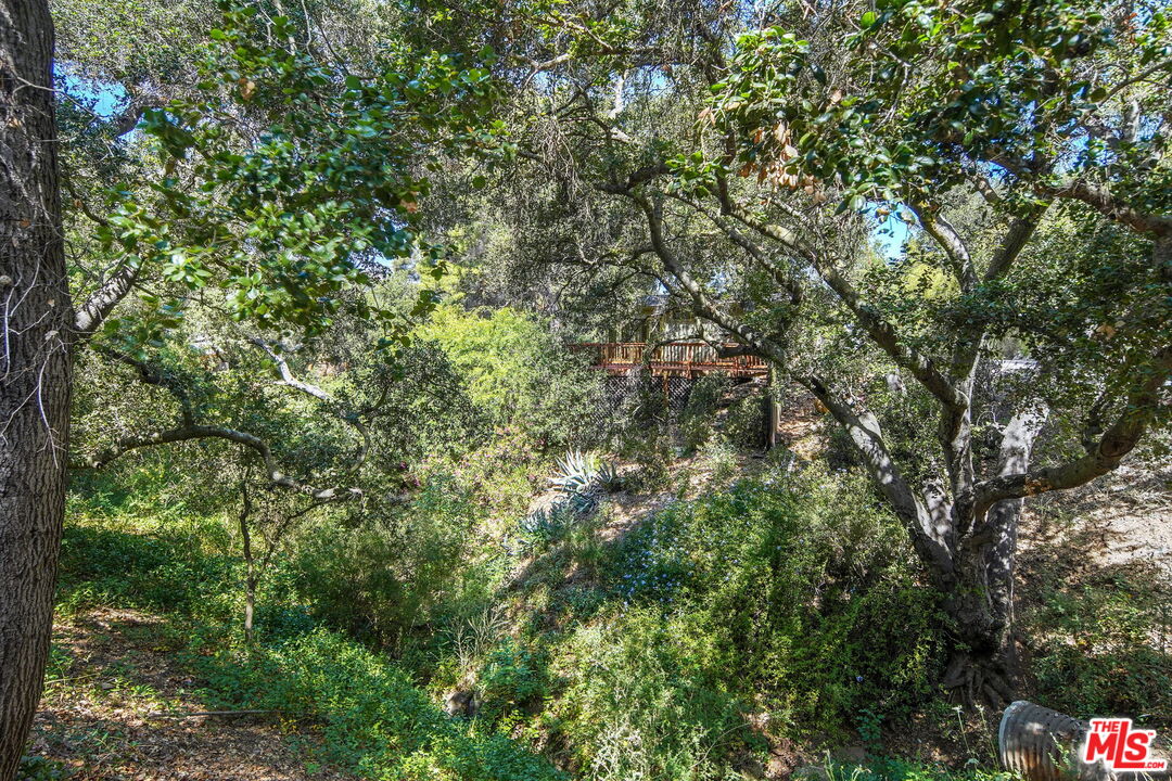 21652 Encina Road Topanga, CA 90290 - Photo 18 of 18