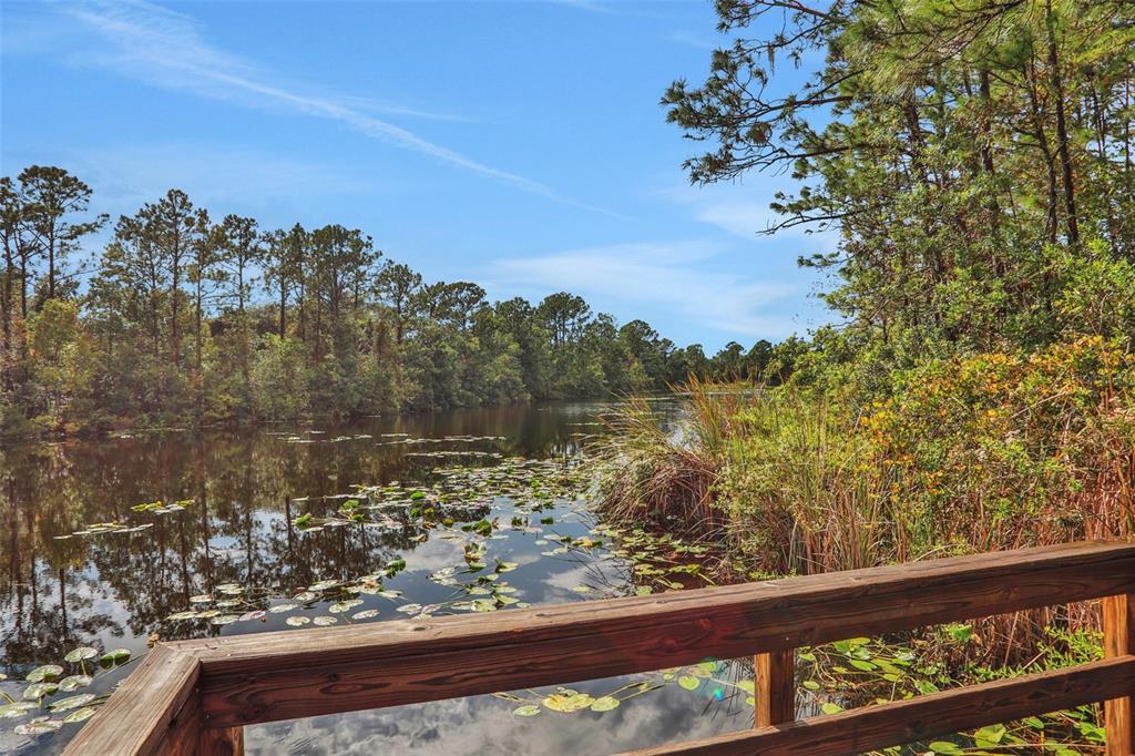 13 Willow Place Palm Coast, FL 32164 - Photo 39 of 39