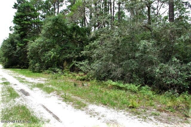 223 Stella Road Georgetown, FL 32139 - Photo 1 of 7 IMG_6210