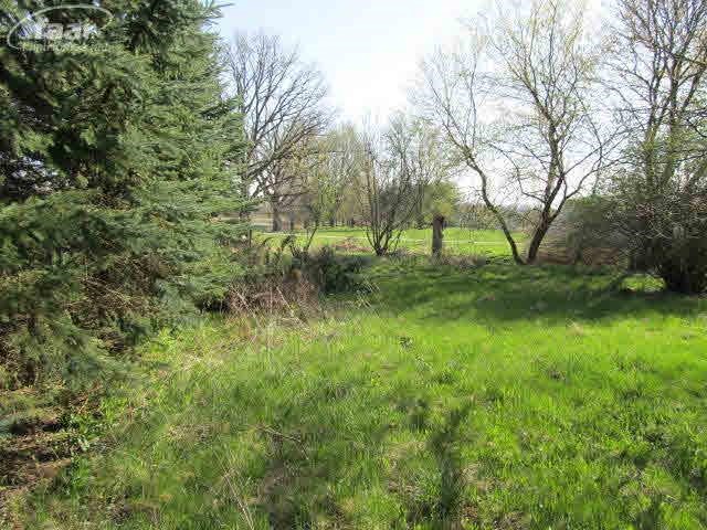 8060 Lemon Road Bancroft, MI 48414 - Photo 6 of 8 20308630-5.JPG