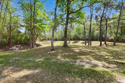 $615,000 | 63 Fritz Whitfield Road, Picayune, MS 39466