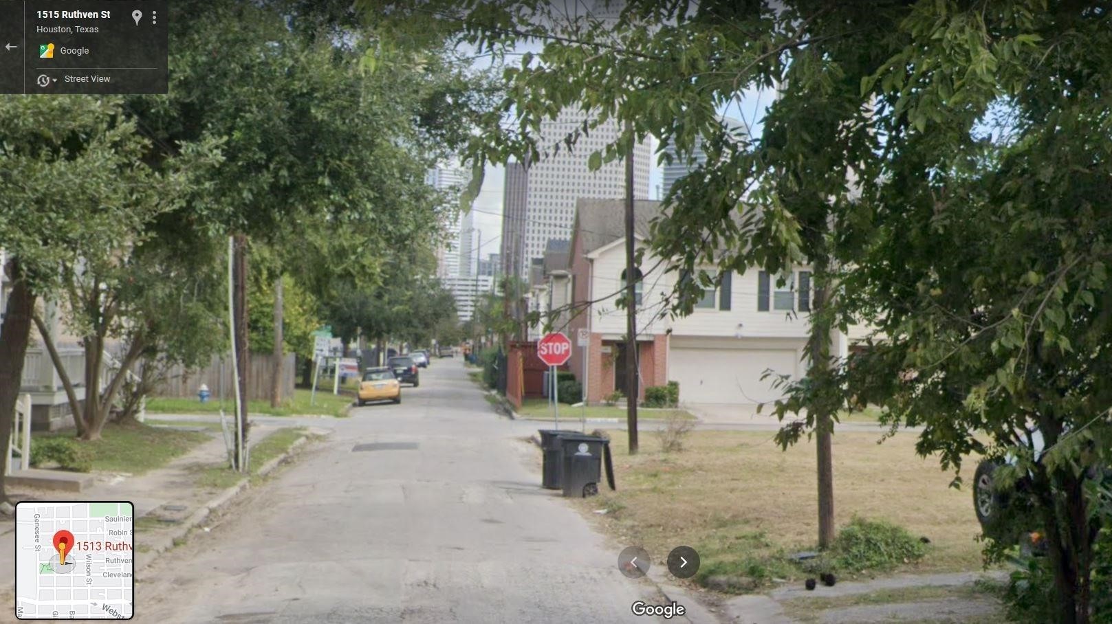 1513 Ruthven Street Houston, TX 77019 - Photo 2 of 2 a view of a park with trees and plants