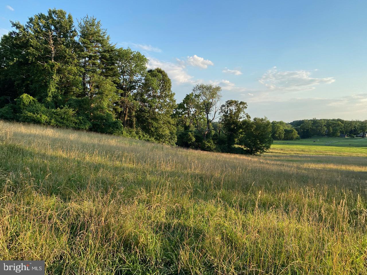 332 Boot Road Malvern, PA 19355 - Photo 12 of 12