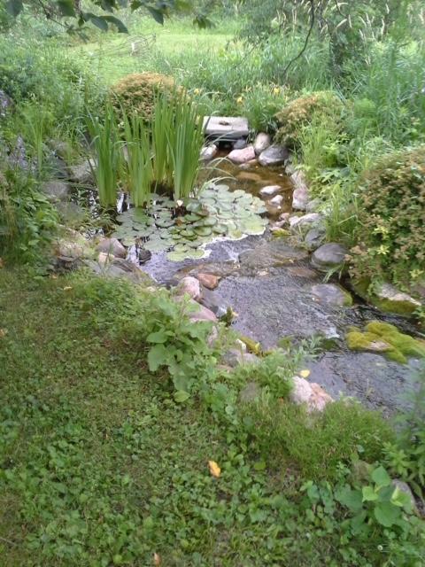 400 North Branch Road Minnetrista, MN 55359 - Photo 9 of 15