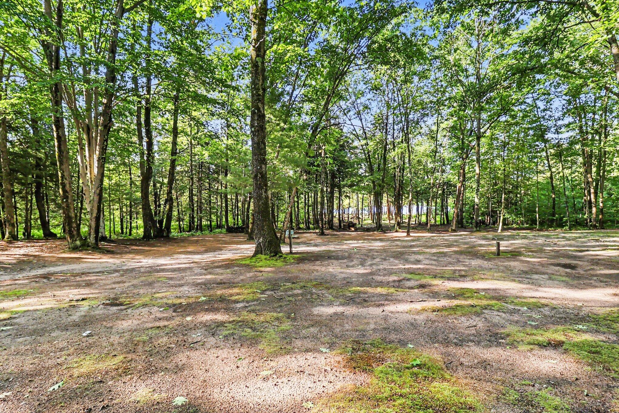 7094 128th Avenue Rothbury, MI 49452 - Photo 6 of 24 003_file_6817
