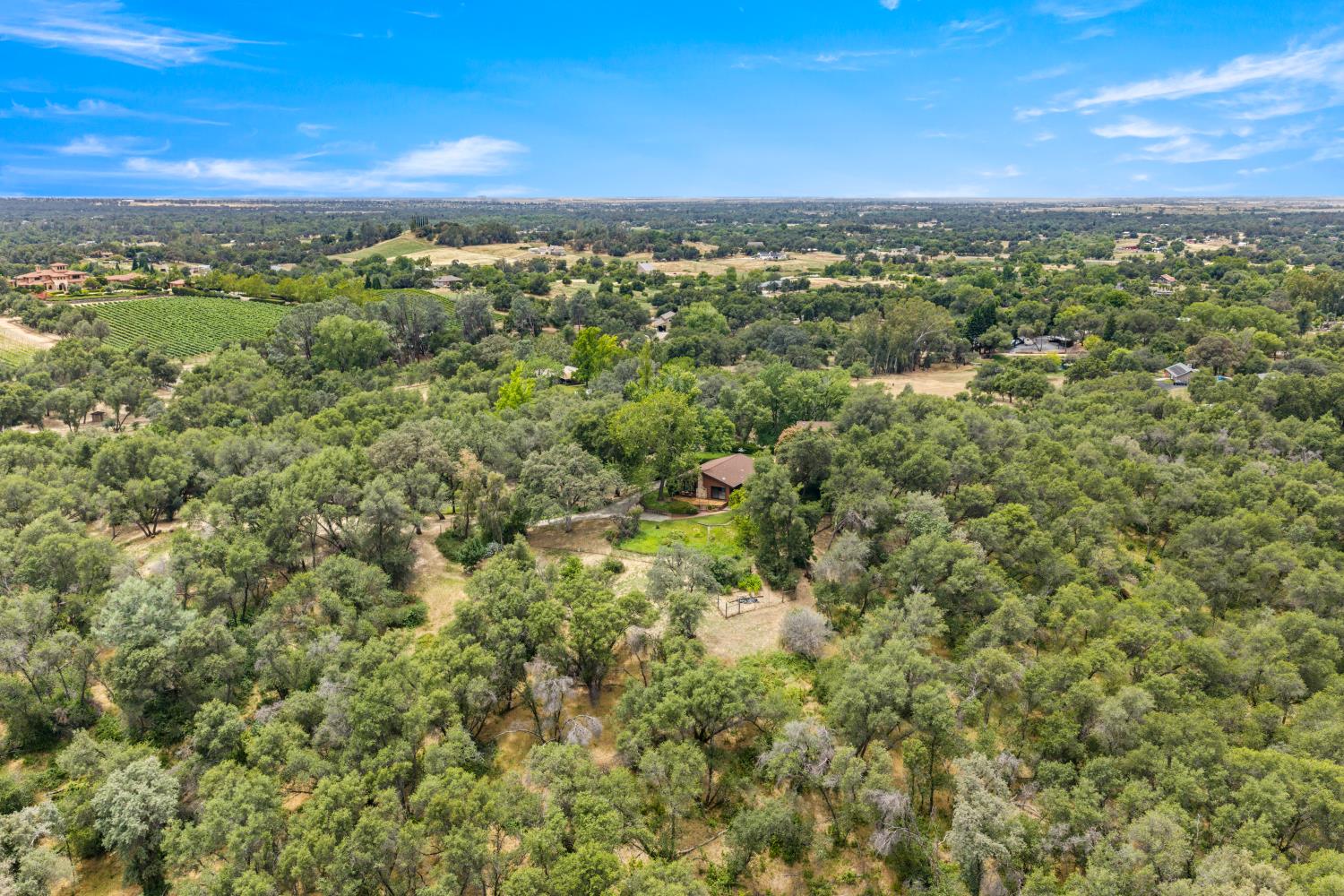 4223 Wise Road Lincoln, CA 95648 - Photo 75 of 95