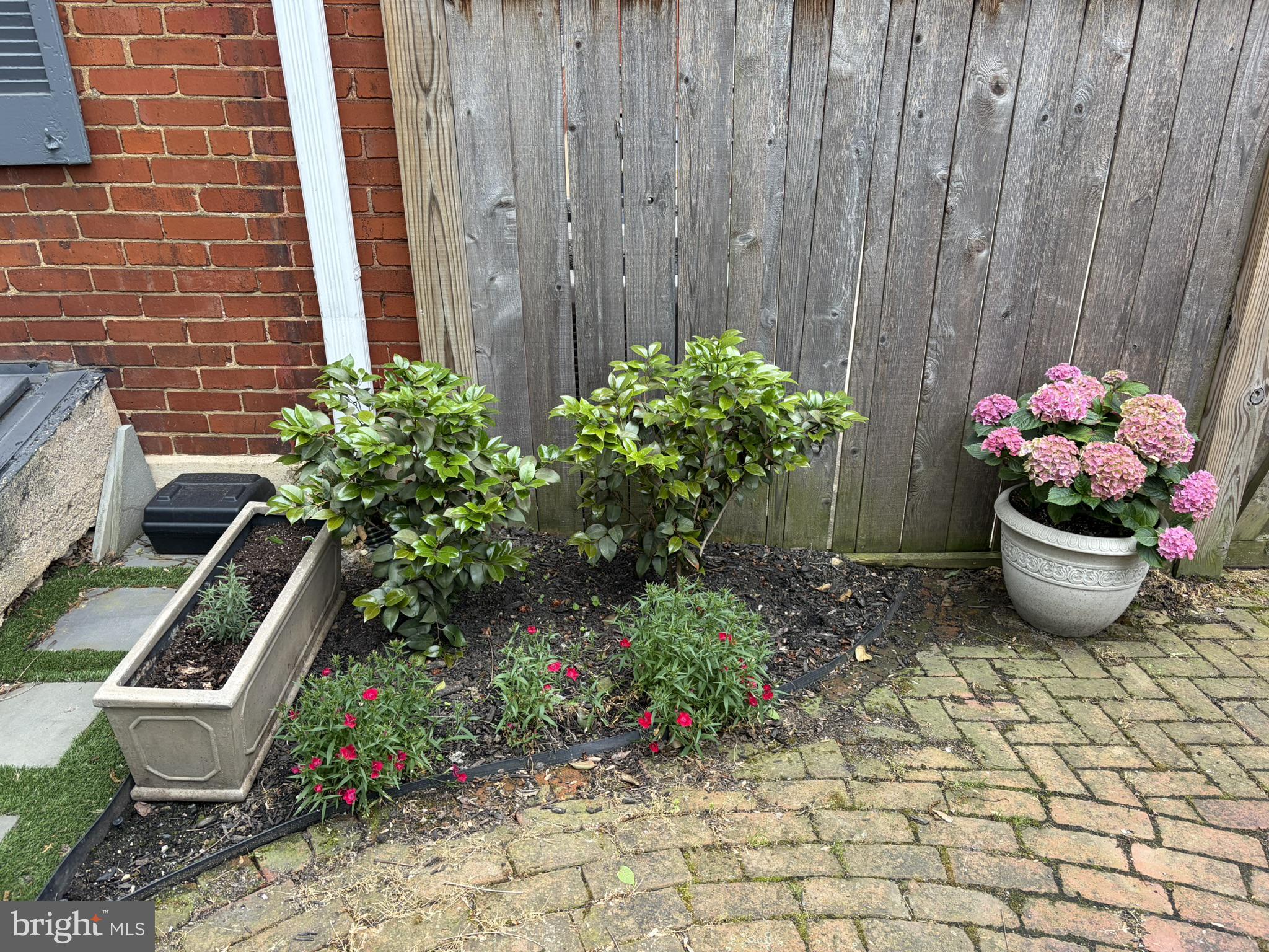 121 West Church Street Frederick, MD 21701 - Photo 76 of 104 Charming garden nook with vibrant blooms.