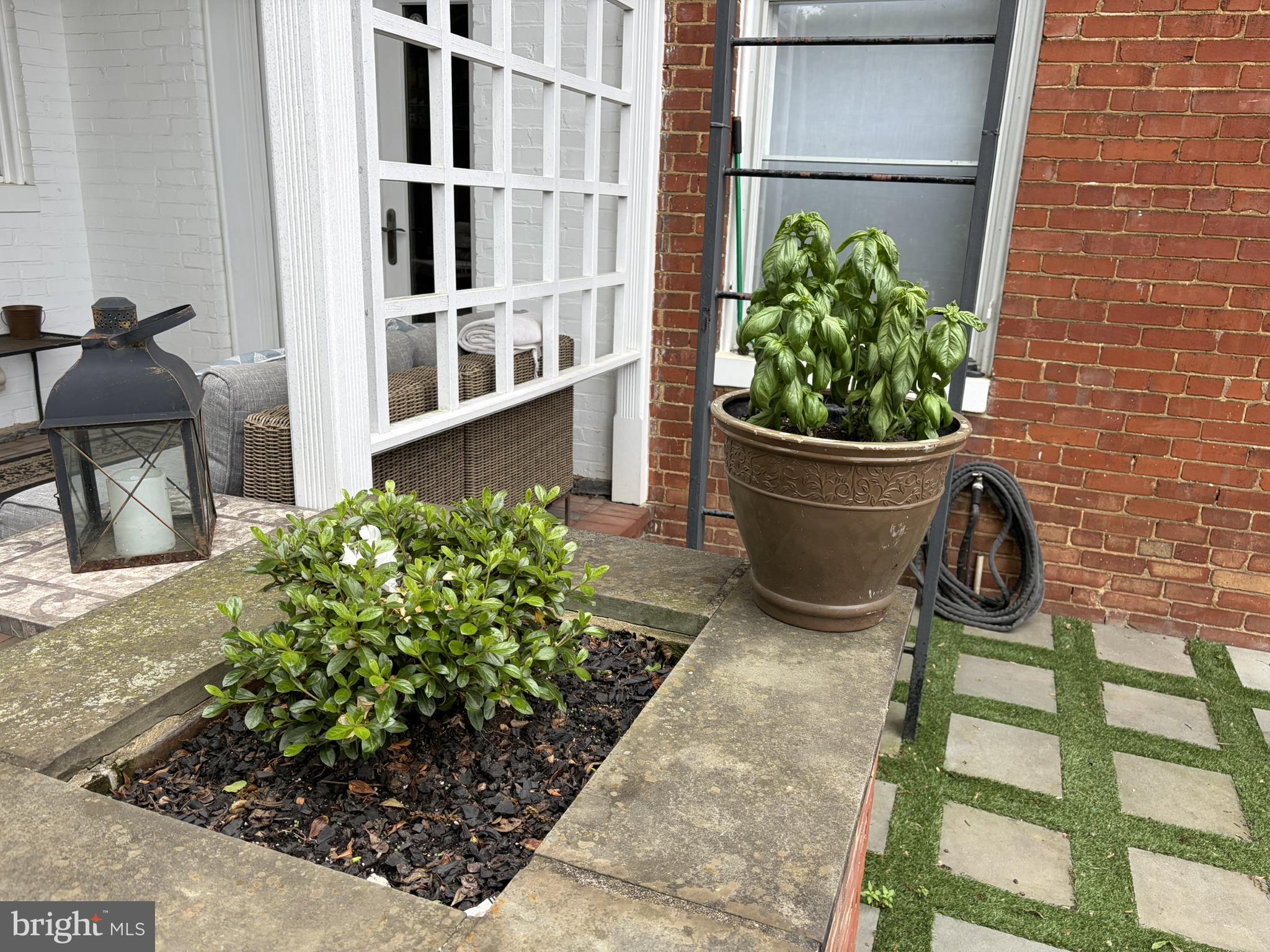 121 West Church Street Frederick, MD 21701 - Photo 82 of 104 Charming garden nook with greenery.