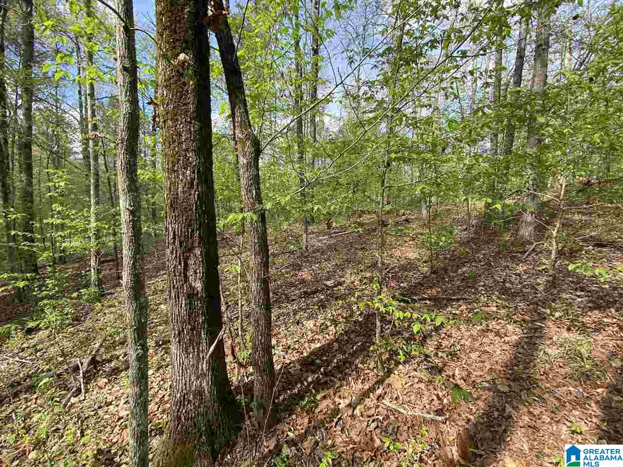 1721 Westover Road, Unit 1 Sterrett, AL 35147 - Photo 3 of 9