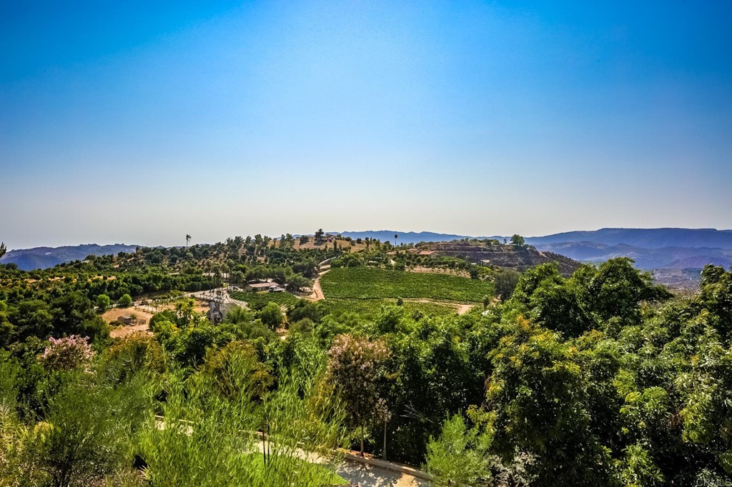 24596 Fuerte Road Temecula, CA 92590 - Photo 19 of 44