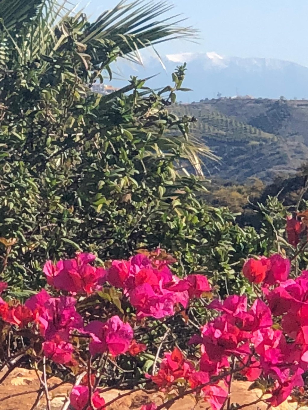 24596 Fuerte Road Temecula, CA 92590 - Photo 20 of 44