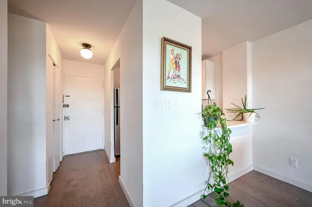 a view of a hallway with wooden floor and a potted plant