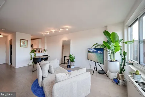 a living room with furniture a potted plant and wooden floor
