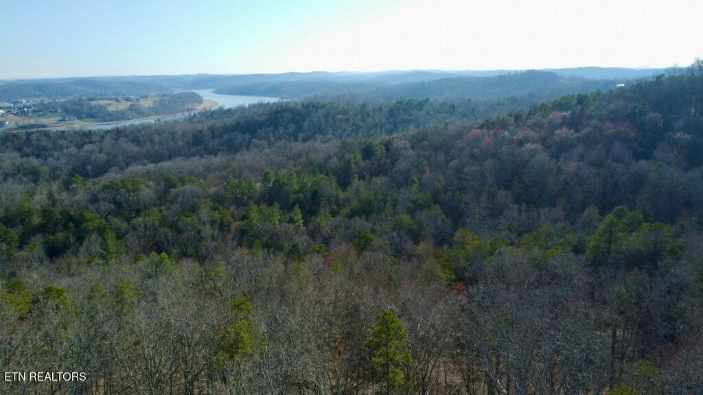 Valley Road Loudon, TN 37774 - Photo 10 of 12 tempImageVrLZRc