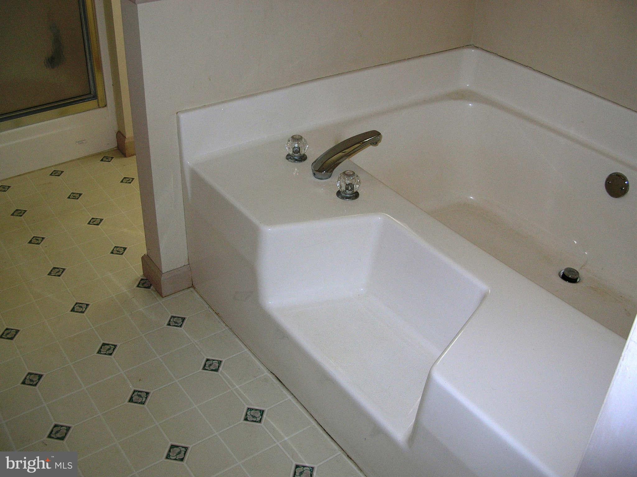 4836 Broad Run Road Jefferson, MD 21755 - Photo 17 of 20 Bath (Master)