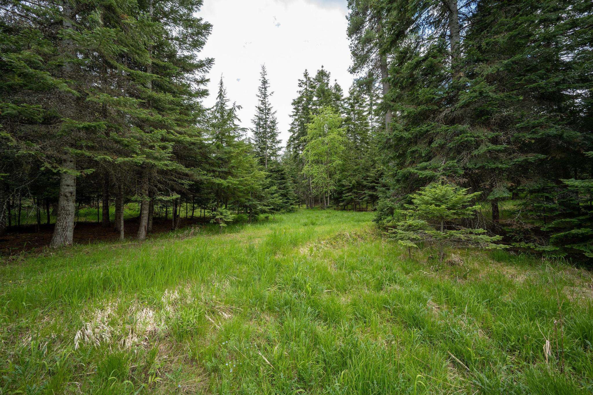 Lot 3 Rivendell Lane Hayden, ID 83835 - Photo 11 of 19 Gallery Image 11