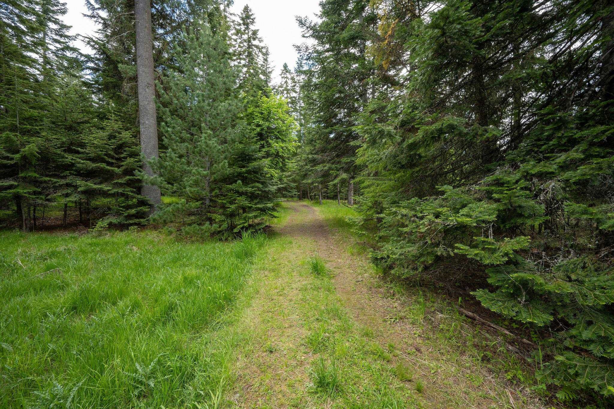 Lot 3 Rivendell Lane Hayden, ID 83835 - Photo 12 of 19 Gallery Image 12