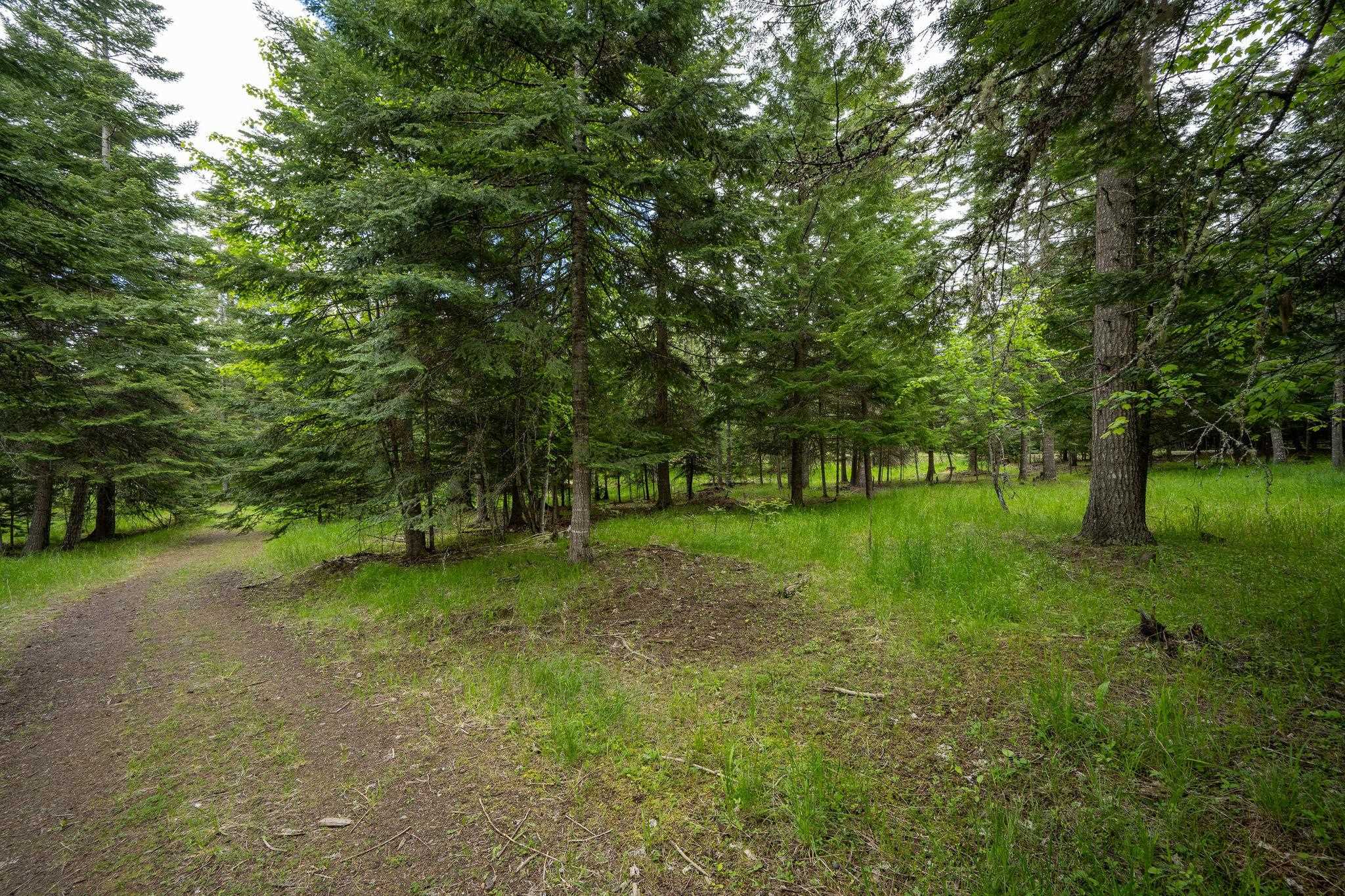 Lot 3 Rivendell Lane Hayden, ID 83835 - Photo 14 of 19 Gallery Image 14