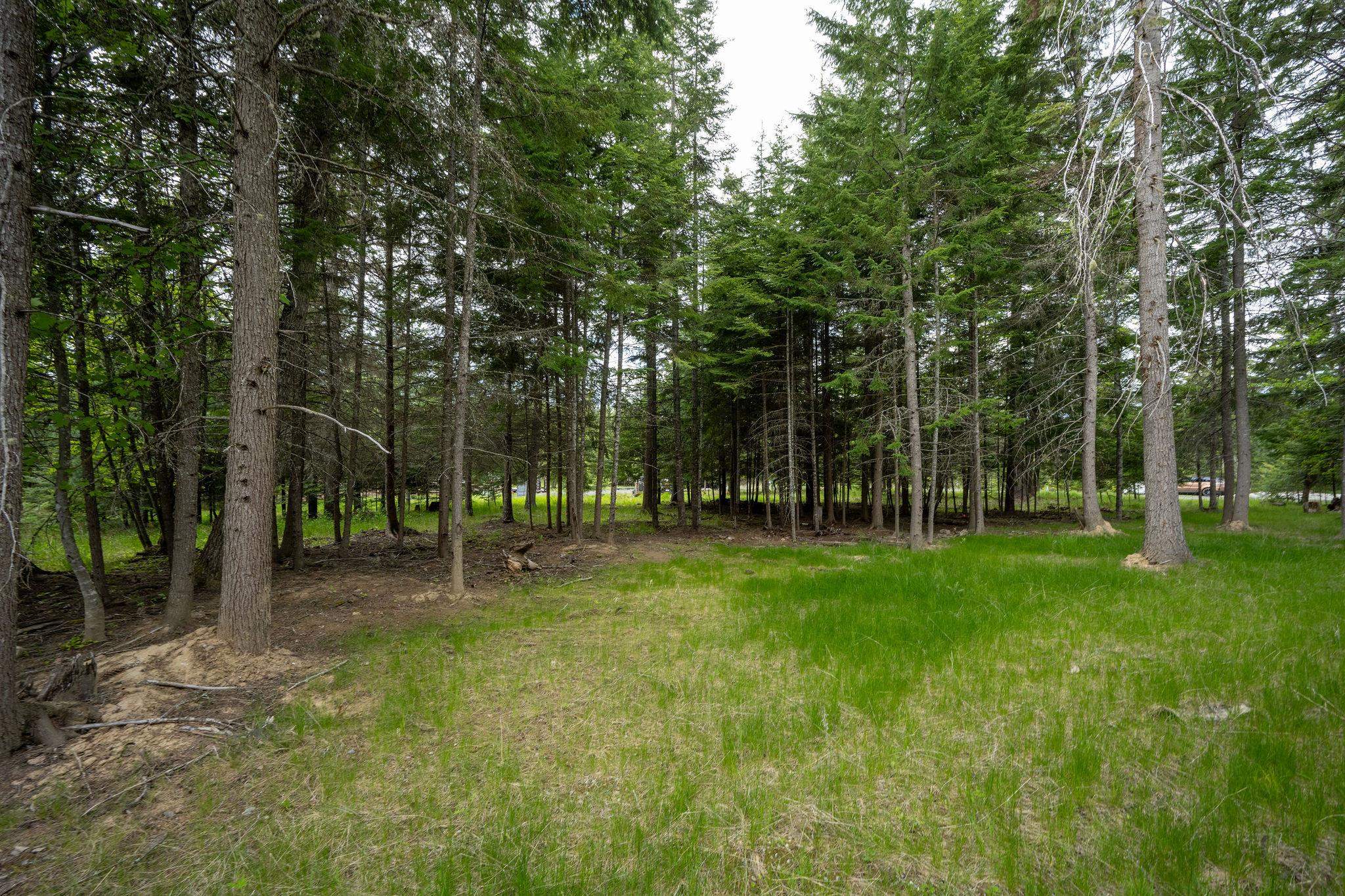 Lot 3 Rivendell Lane Hayden, ID 83835 - Photo 3 of 19 Gallery Image 3