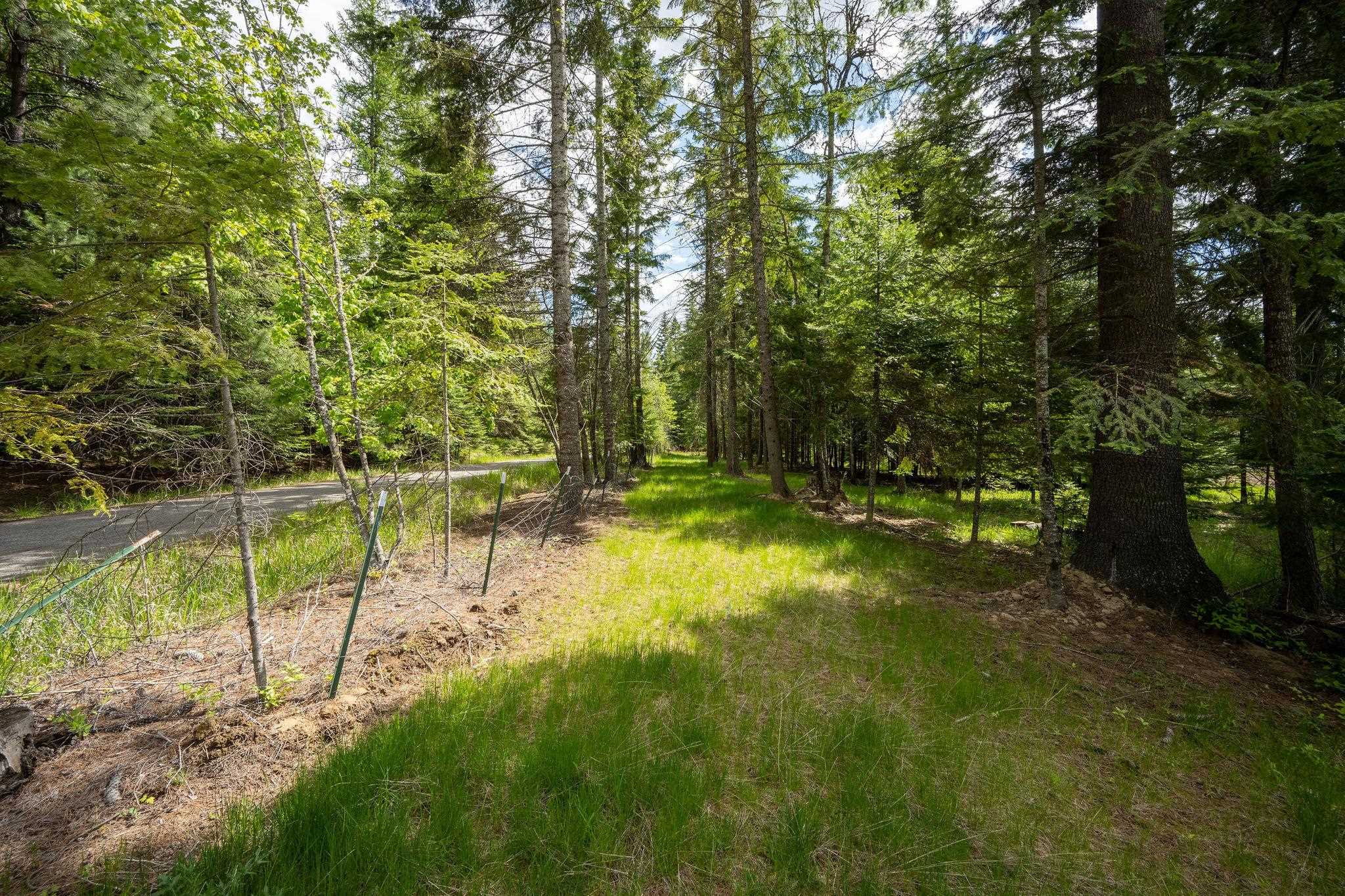 Lot 3 Rivendell Lane Hayden, ID 83835 - Photo 8 of 19 Gallery Image 8