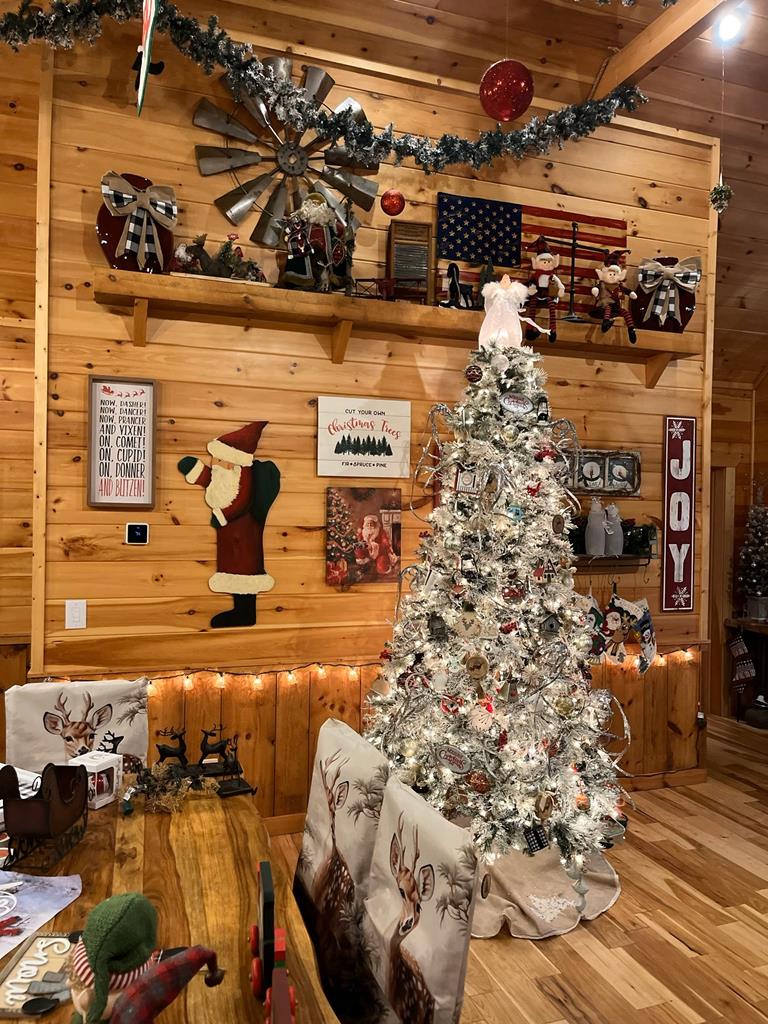 5830 Fairview Road Marble, NC 28905 - Photo 22 of 53 Gallery Image 22