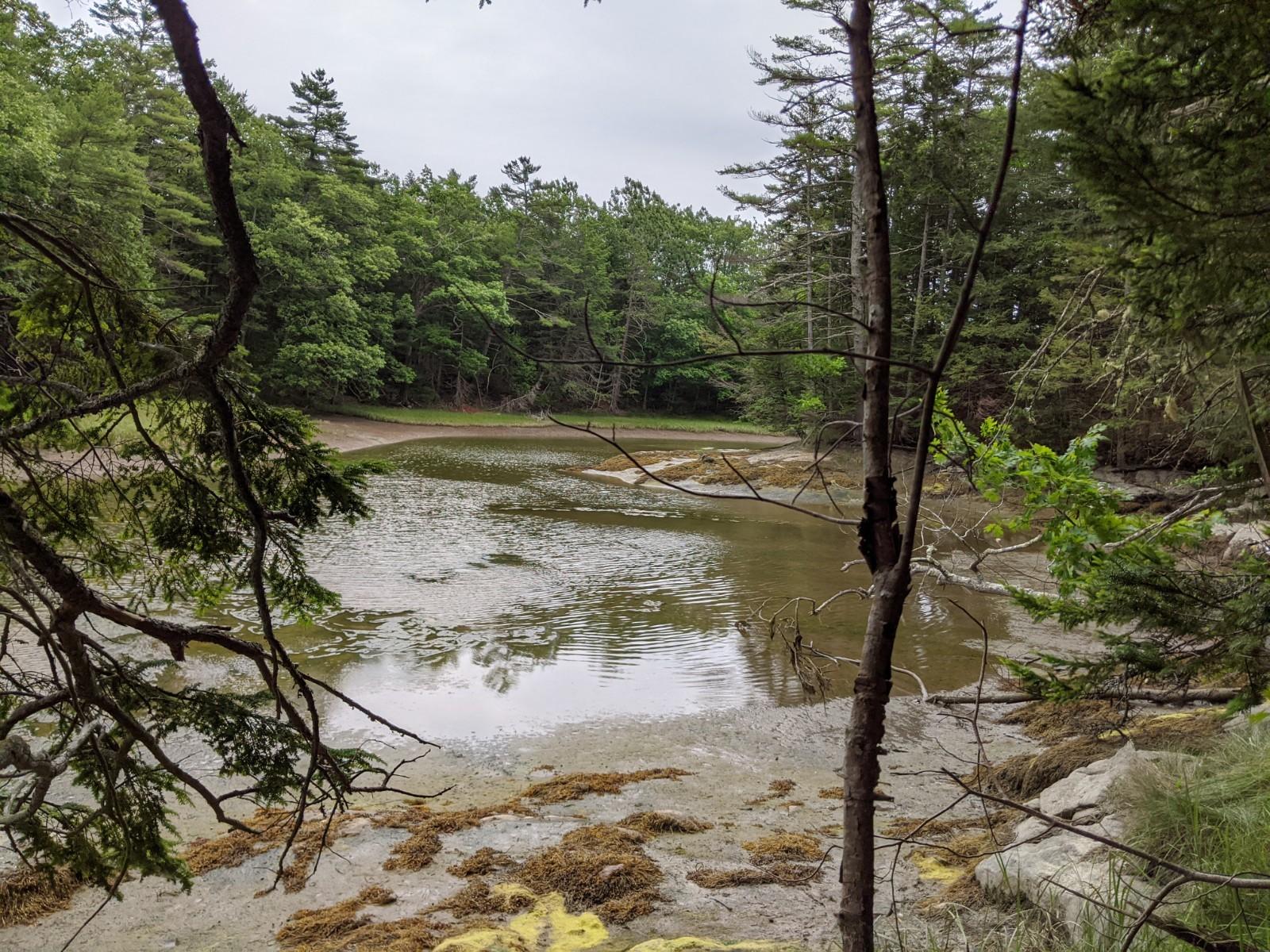 Off Dover Road Boothbay, ME 04537 - Photo 6 of 6 6