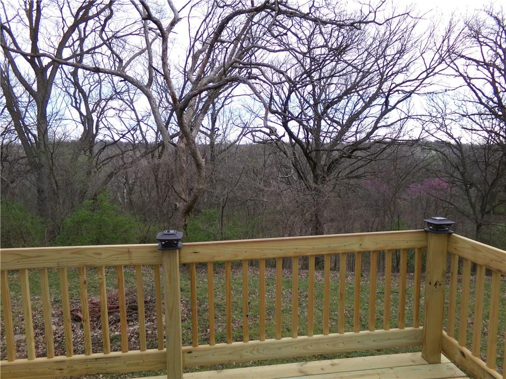 31220 Summit Ridge Drive Excelsior Springs, MO 64024 - Photo 5 of 32