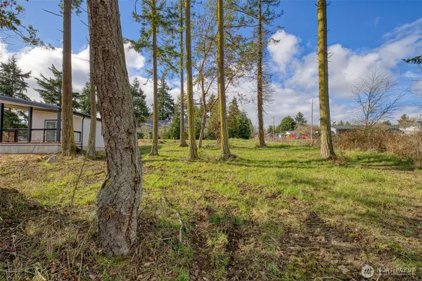 a view of yard with tree