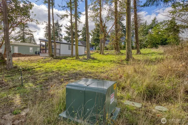 a backyard of a house with a yard and trees