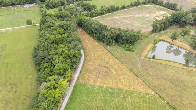 a view of a swimming pool with a yard