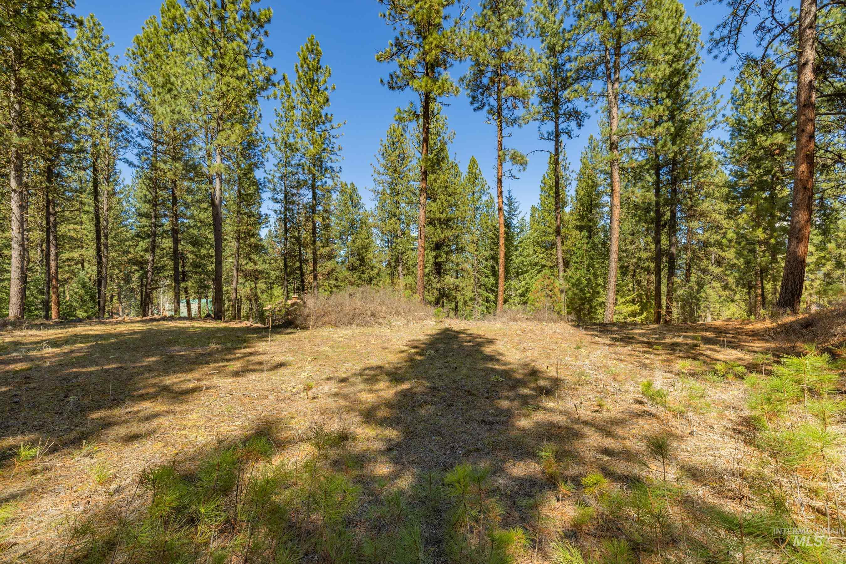 Lot 27 Hot Springs Road New Meadows, ID 83654 - Photo 7 of 23