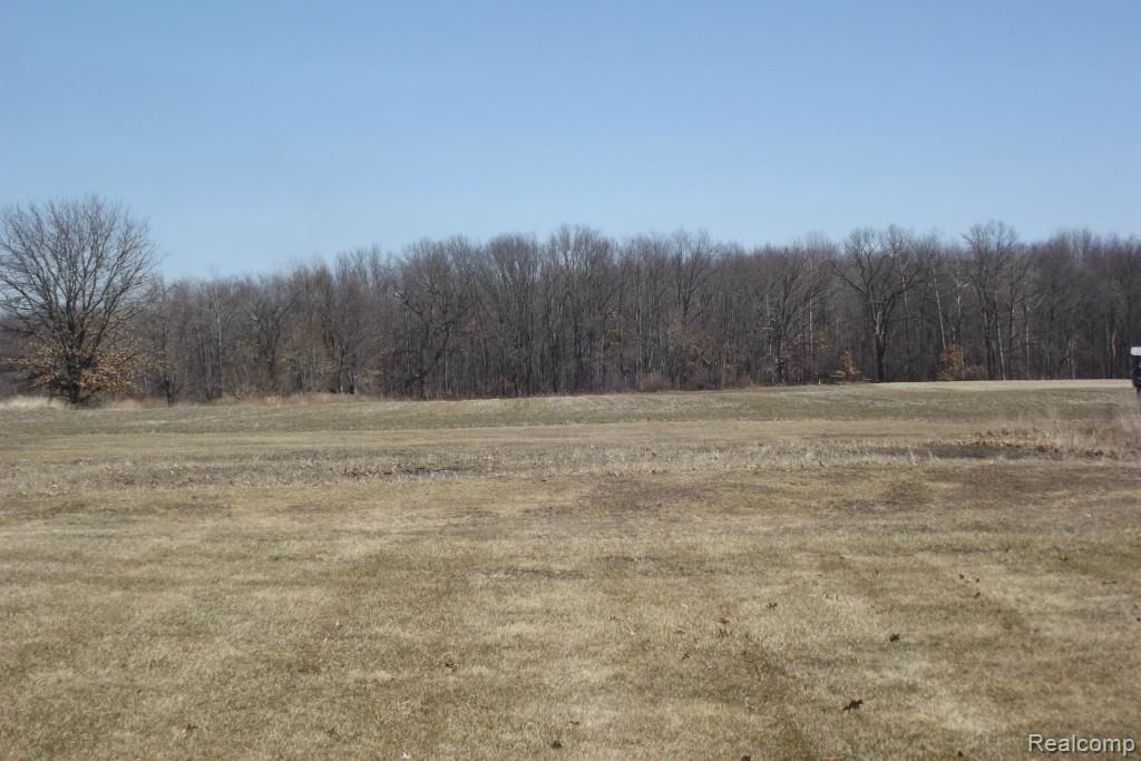 11580 North Owosso Road Fowlerville, MI 48836 - Photo 5 of 13 Gallery Image 5