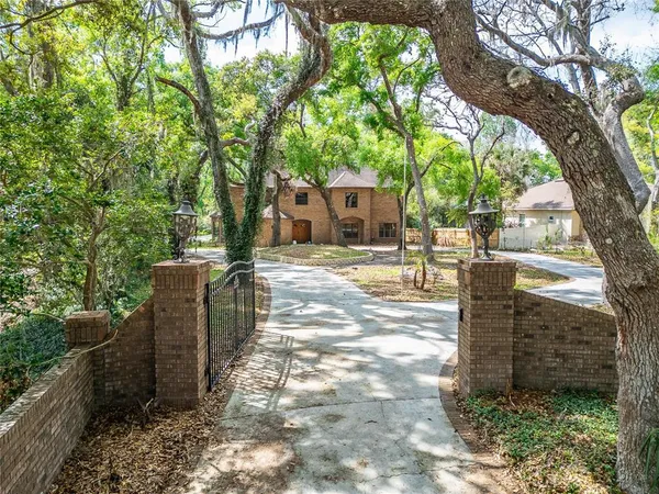 a view of a backyard with trees