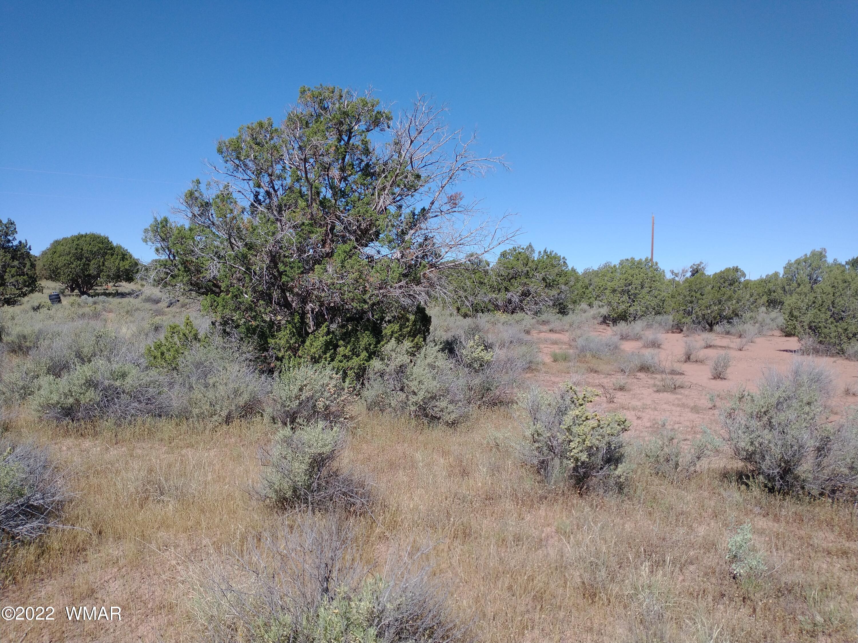 4247 Indian Bend Road Snowflake, AZ 85937 - Photo 12 of 20
