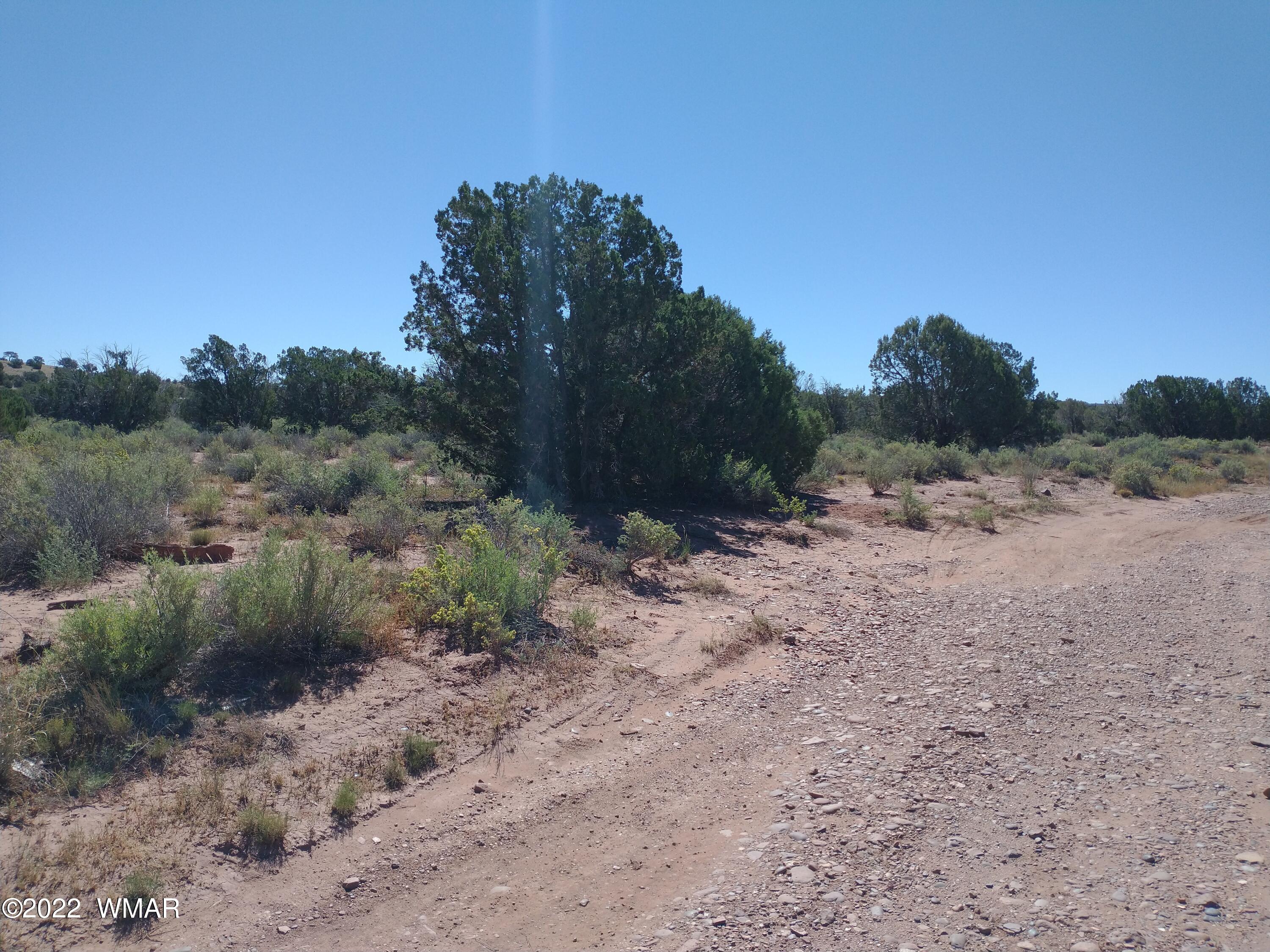 4247 Indian Bend Road Snowflake, AZ 85937 - Photo 13 of 20