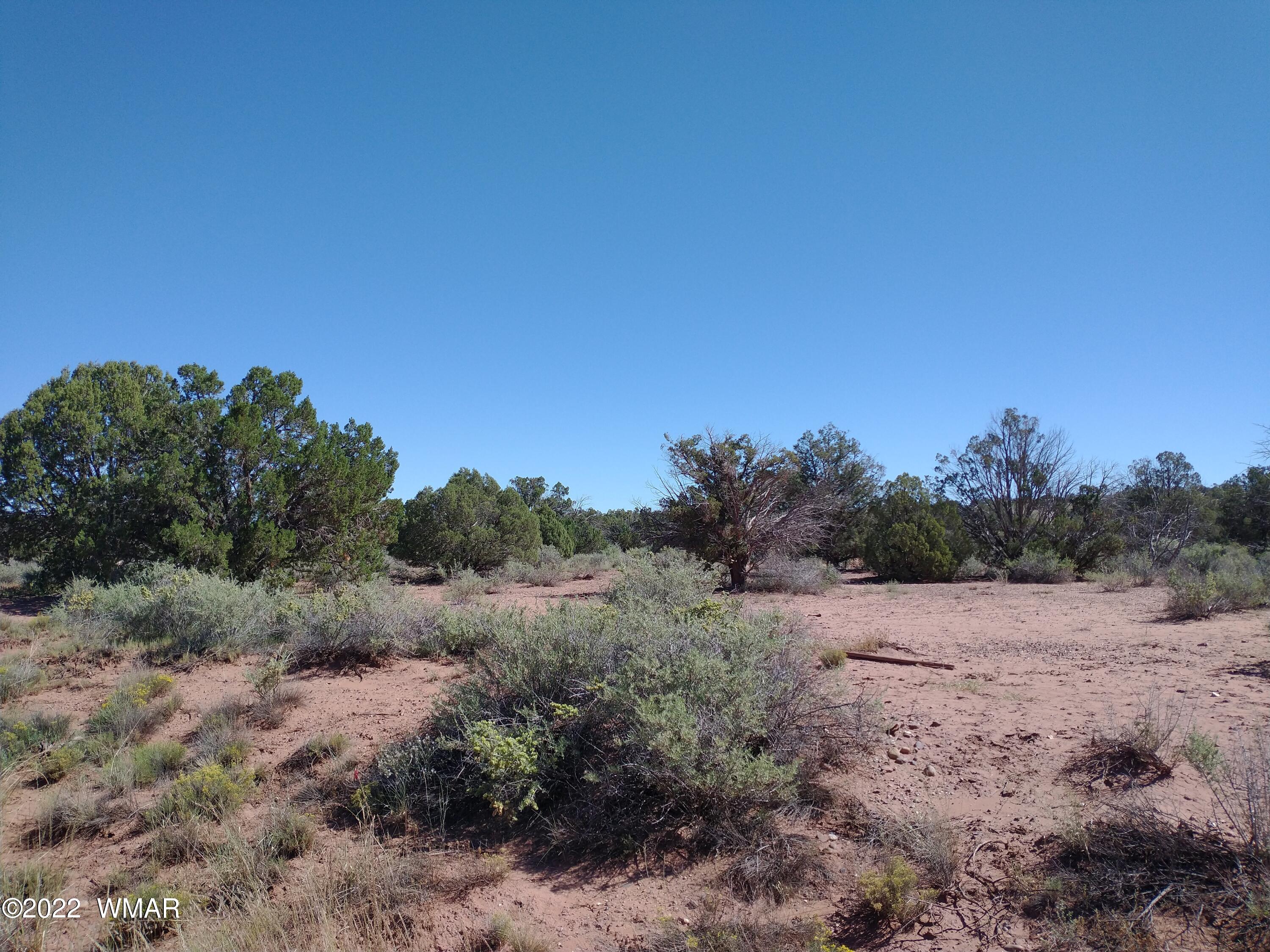 4247 Indian Bend Road Snowflake, AZ 85937 - Photo 3 of 20
