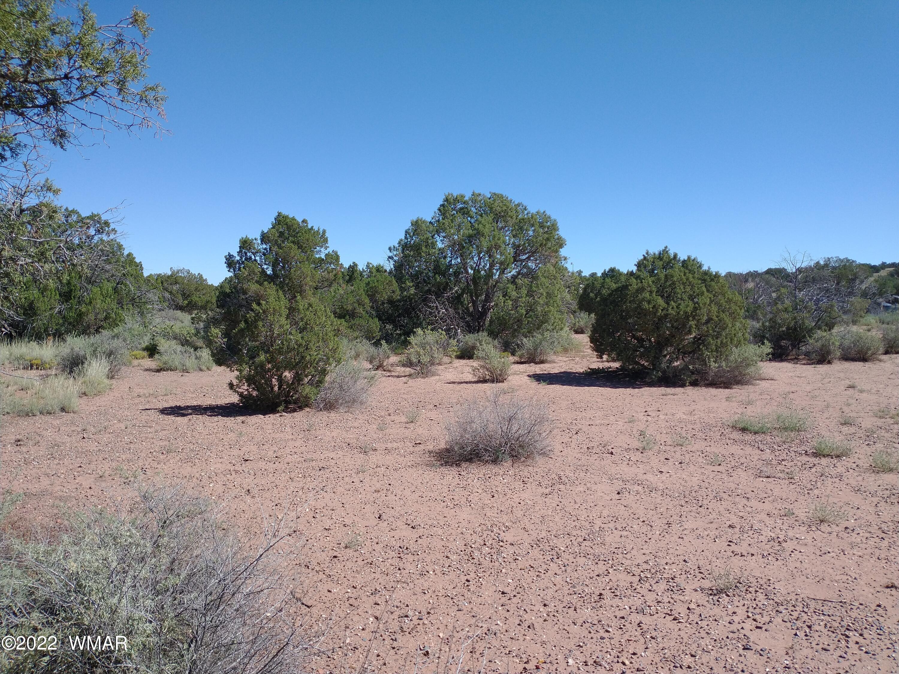 4247 Indian Bend Road Snowflake, AZ 85937 - Photo 4 of 20