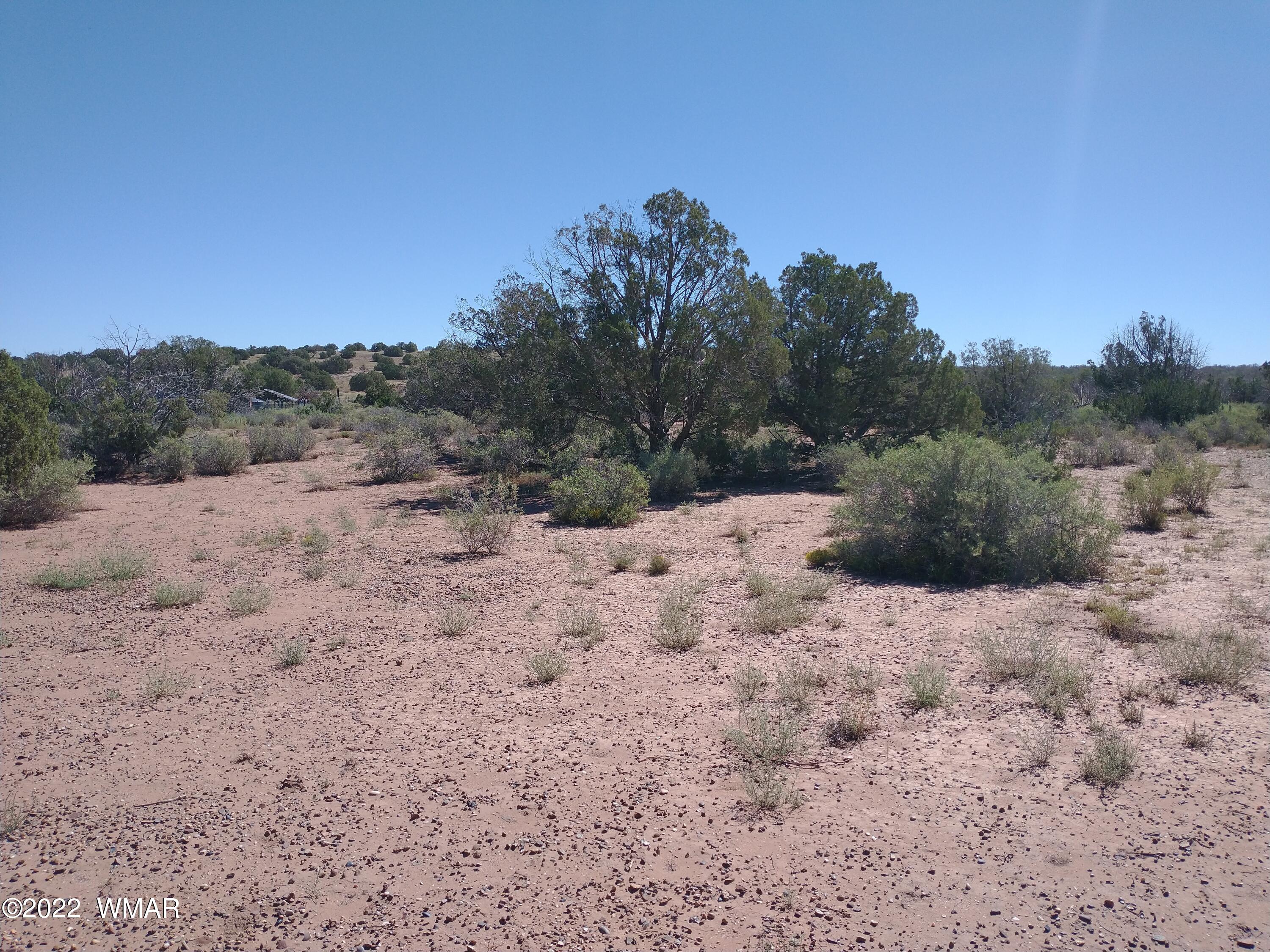 4247 Indian Bend Road Snowflake, AZ 85937 - Photo 7 of 20