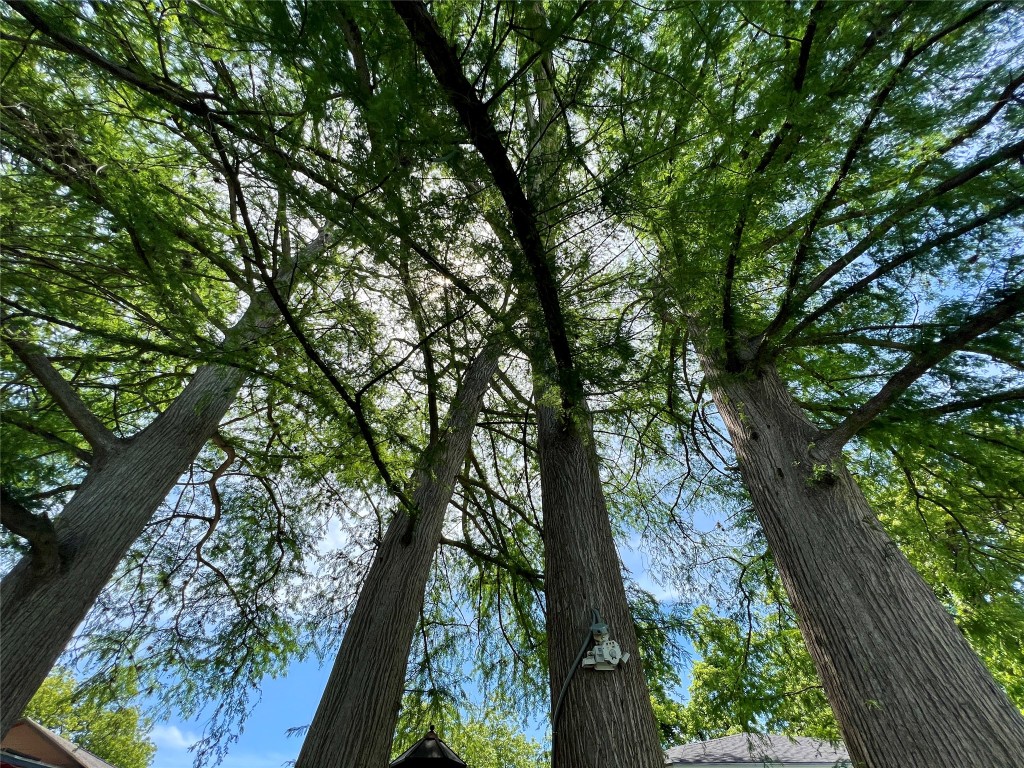 1317 East Zipp Road New Braunfels, TX 78130 - Photo 35 of 40