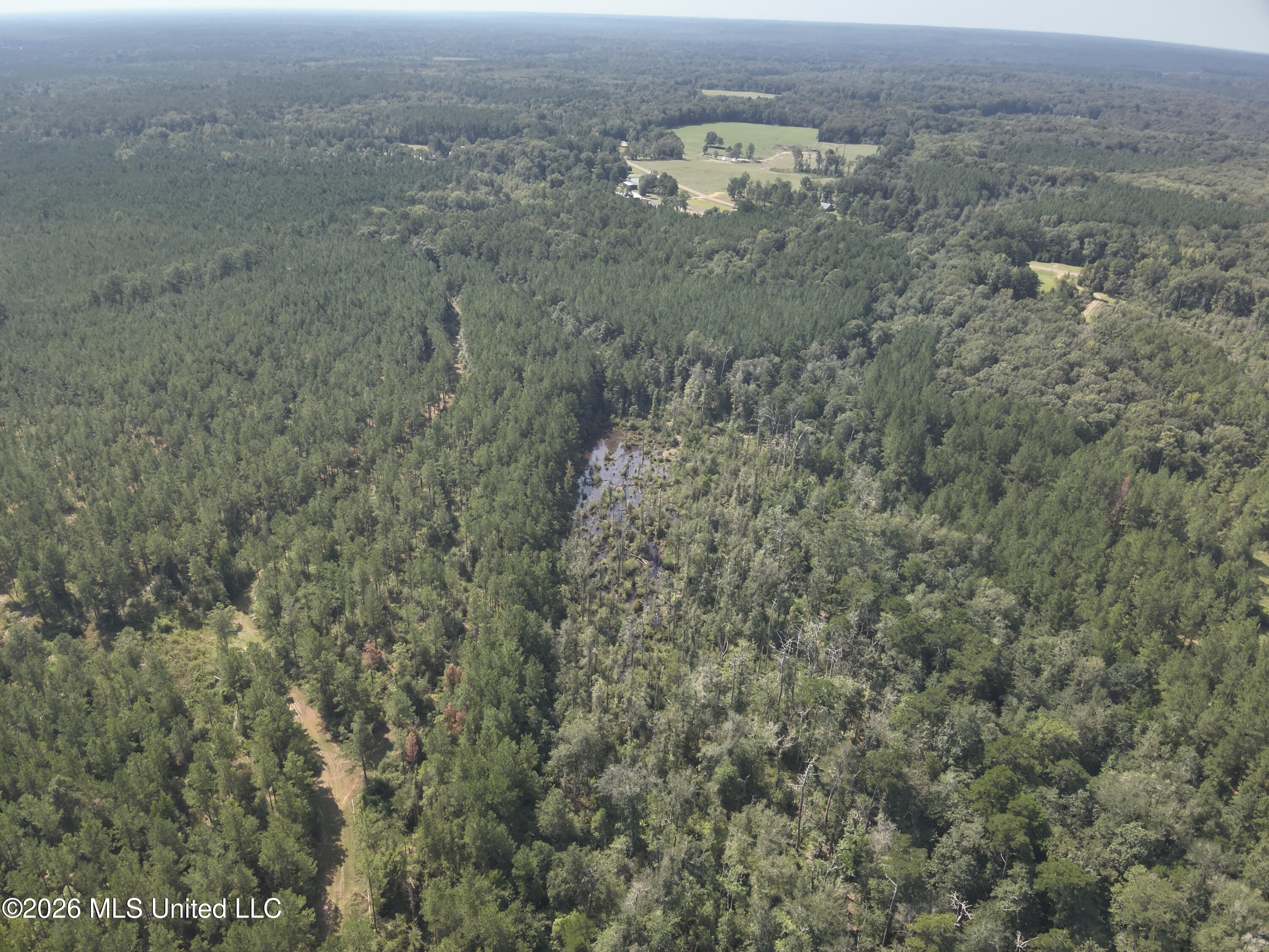 40 J W Jones Road Oak Vale, MS 39656 - Photo 12 of 16 DJI_20260826105322_0022_V