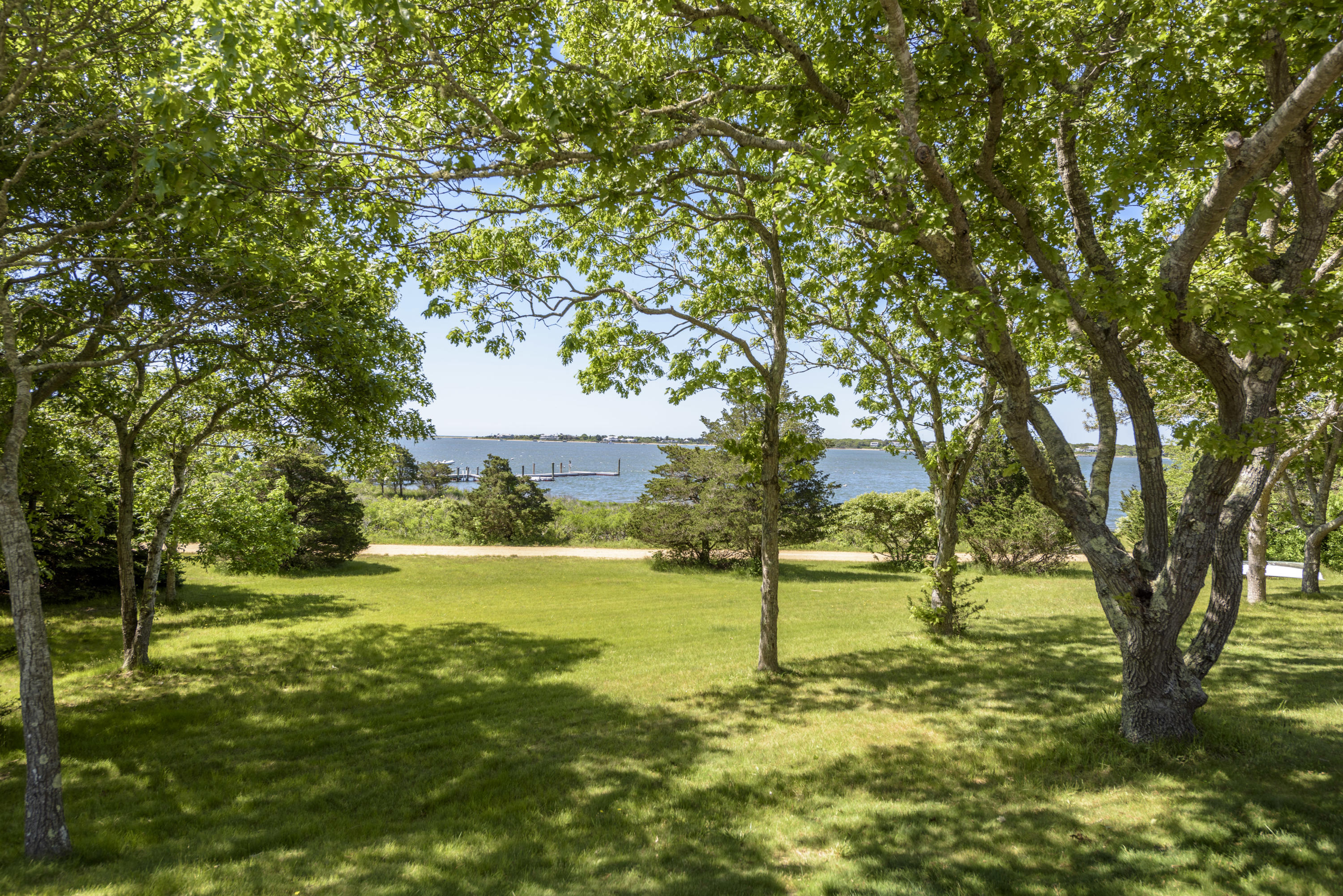 56 Green Pastures Road Edgartown, MA 02539 - Photo 34 of 35 a view of yard with trees