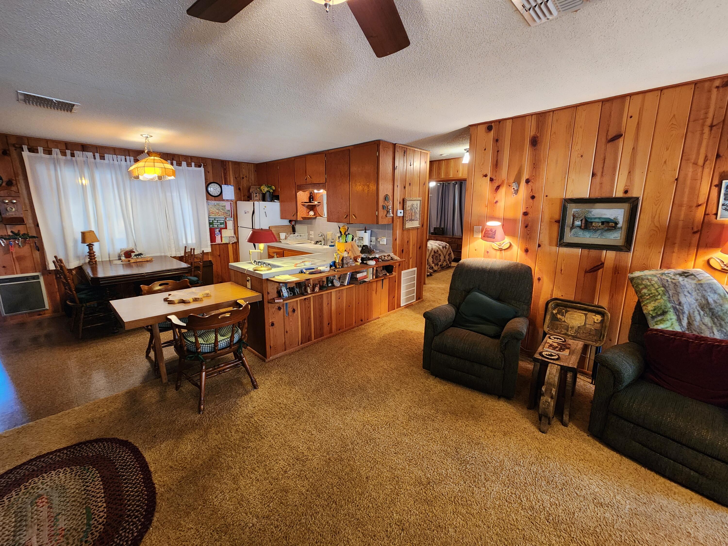 247 West Diamond Road Payson, AZ 85541 - Photo 7 of 42 20251021_142028