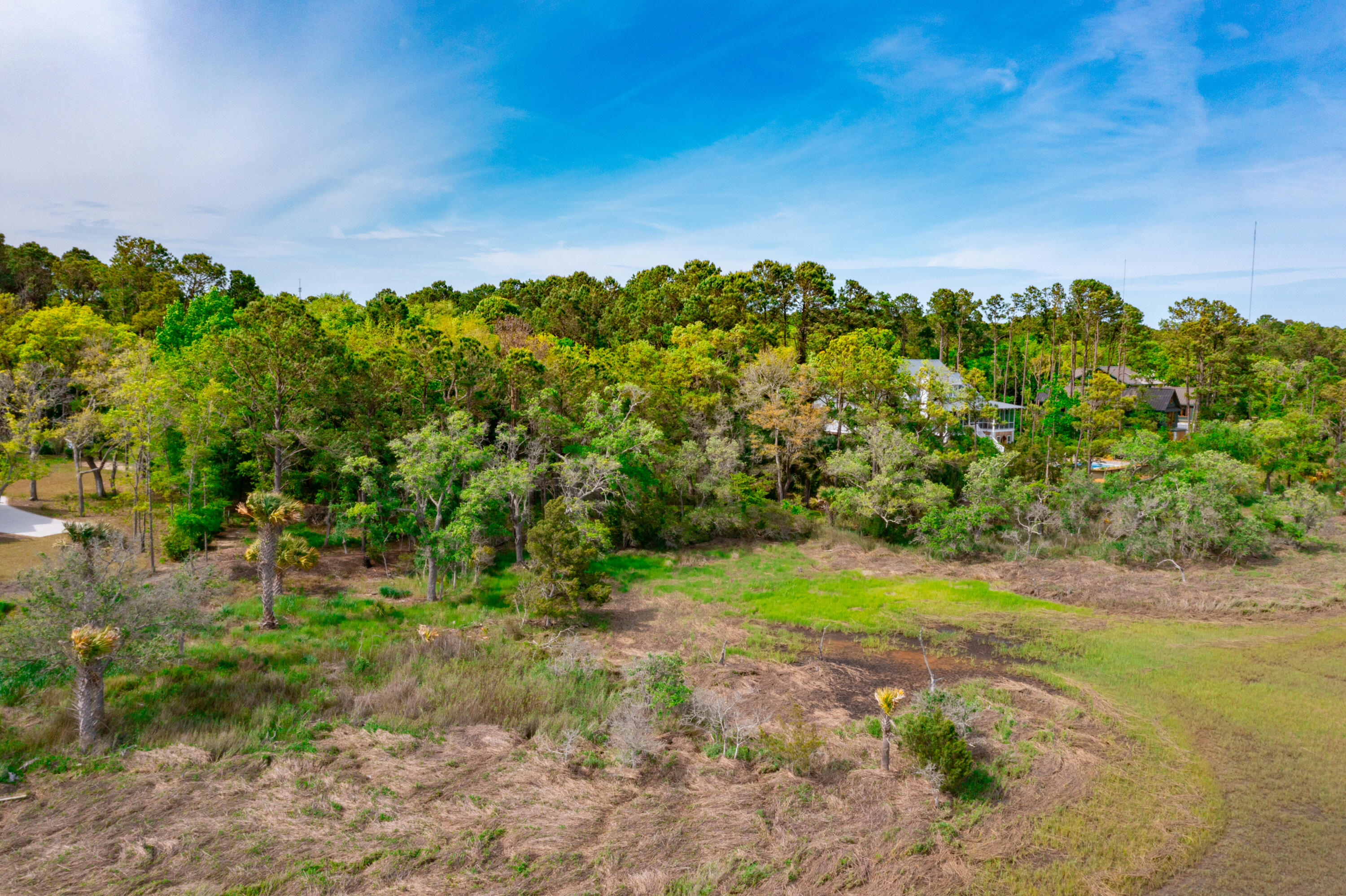 4097 Longmarsh Road Awendaw, SC 29429 - Photo 7 of 40 Lot 21