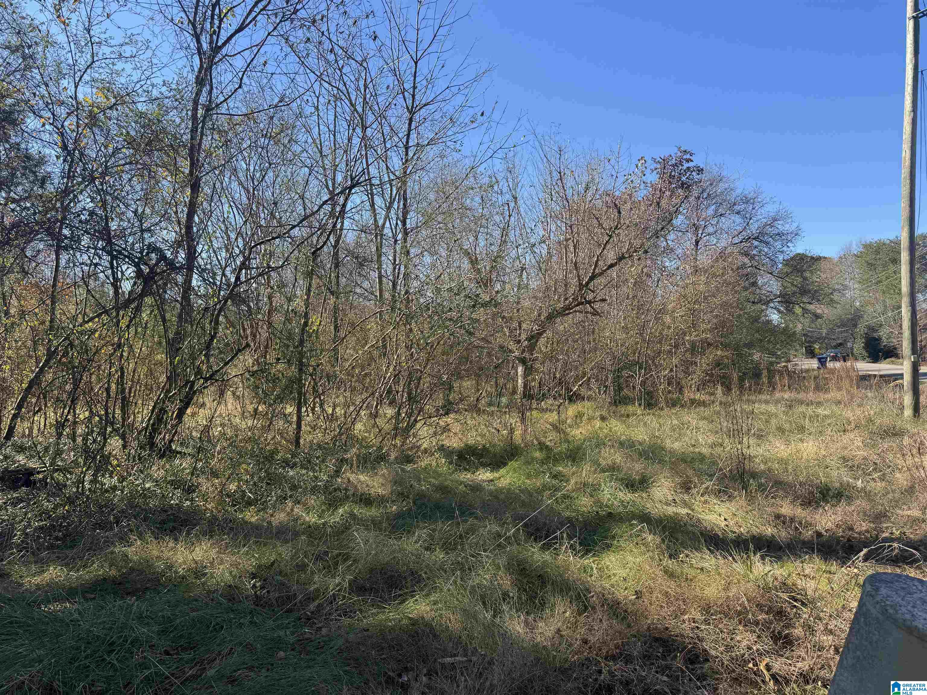 0 Glade Road, Unit 1 Anniston, AL 36206 - Photo 28 of 30