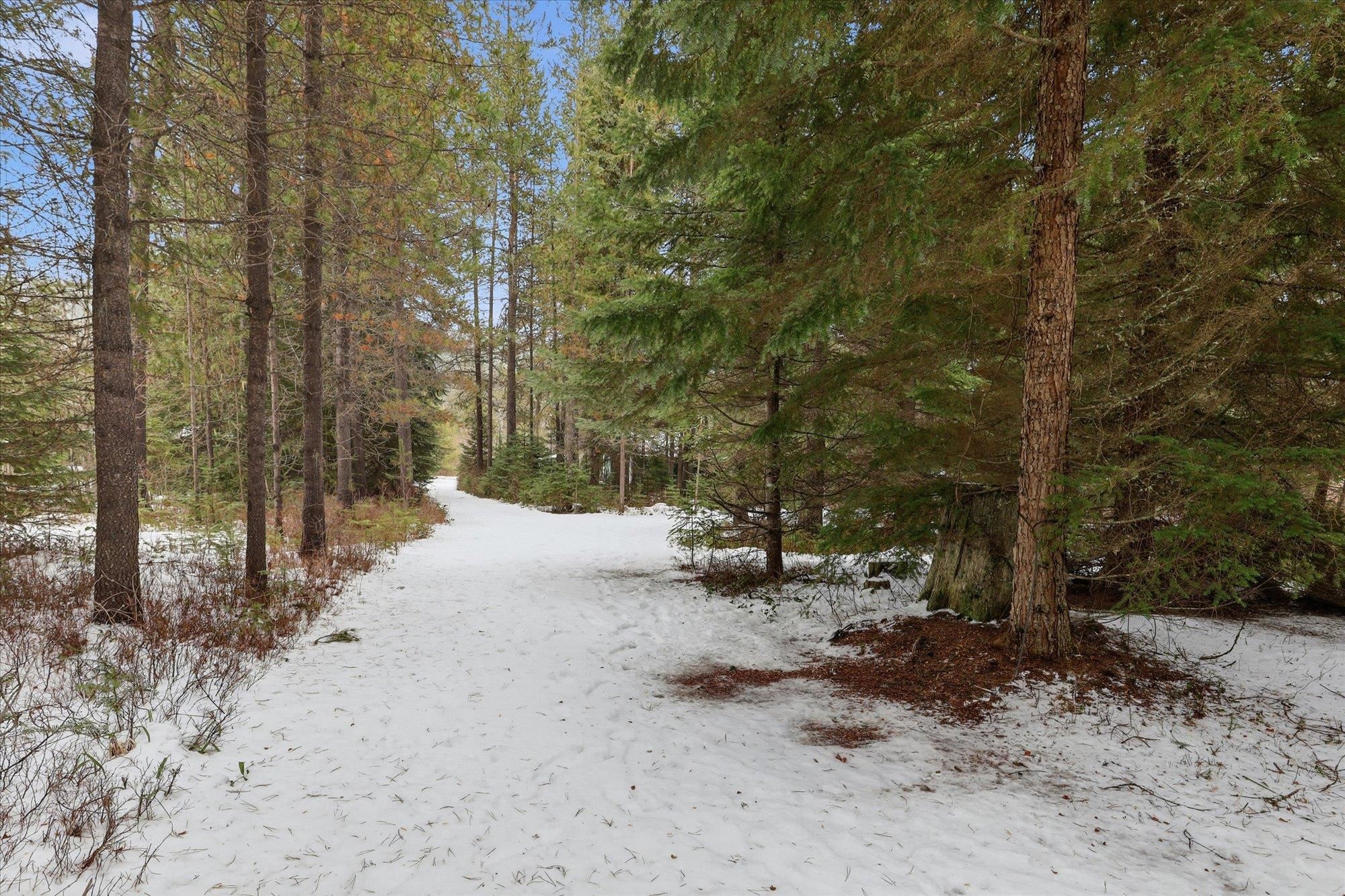 331 Franco Lane Cusick, WA 99119 - Photo 16 of 33