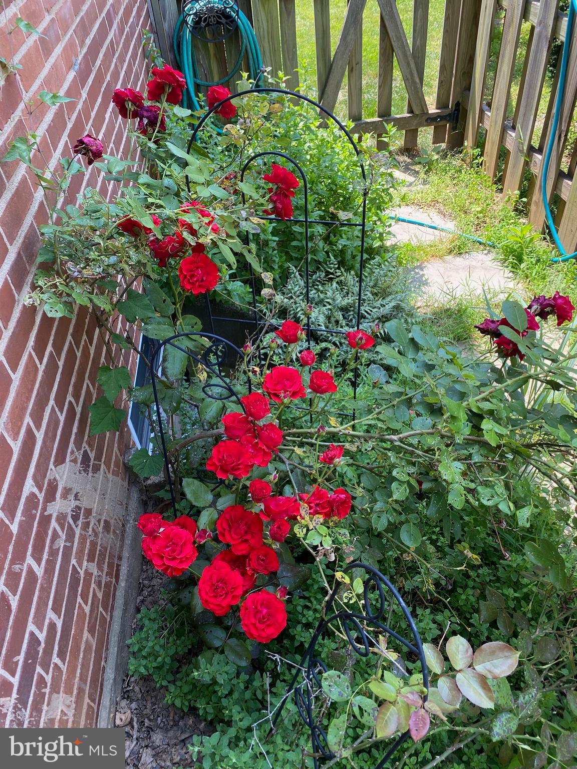 5863 15th Road North Arlington, VA 22205 - Photo 26 of 37 Gallery Image 26
