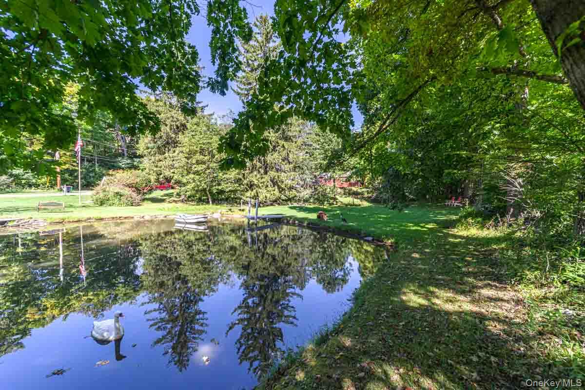 145 Drake Road Pleasant Valley, NY 12569 - Photo 44 of 47 Gallery Image 44