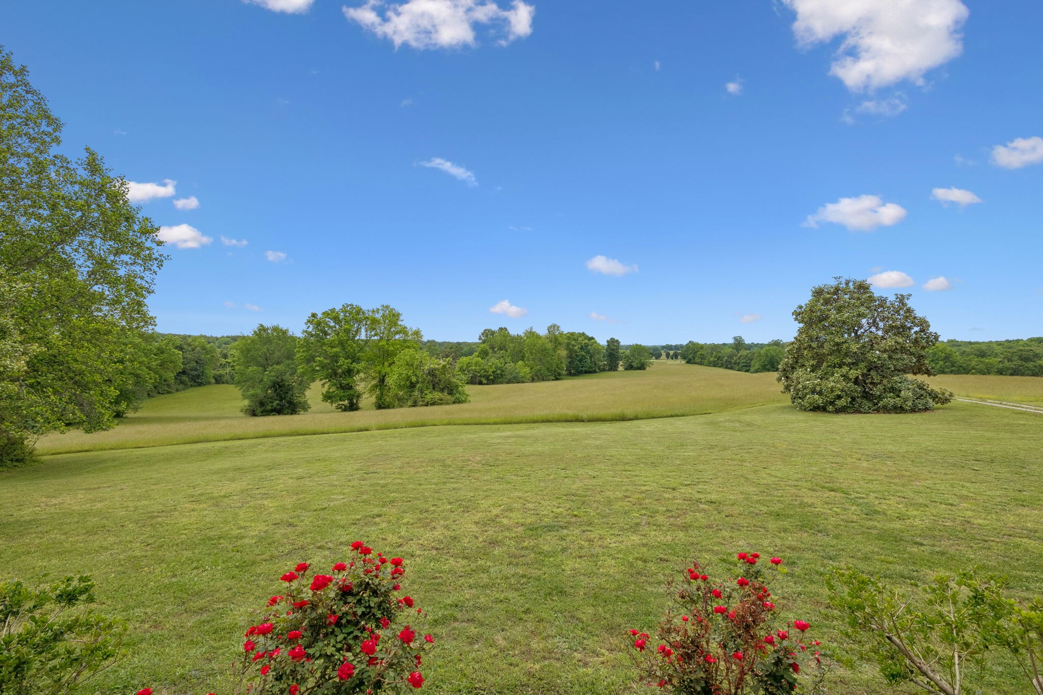 314 Fairview Road Dickson, TN 37055 - Photo 9 of 81 a view of an ocean from a lake