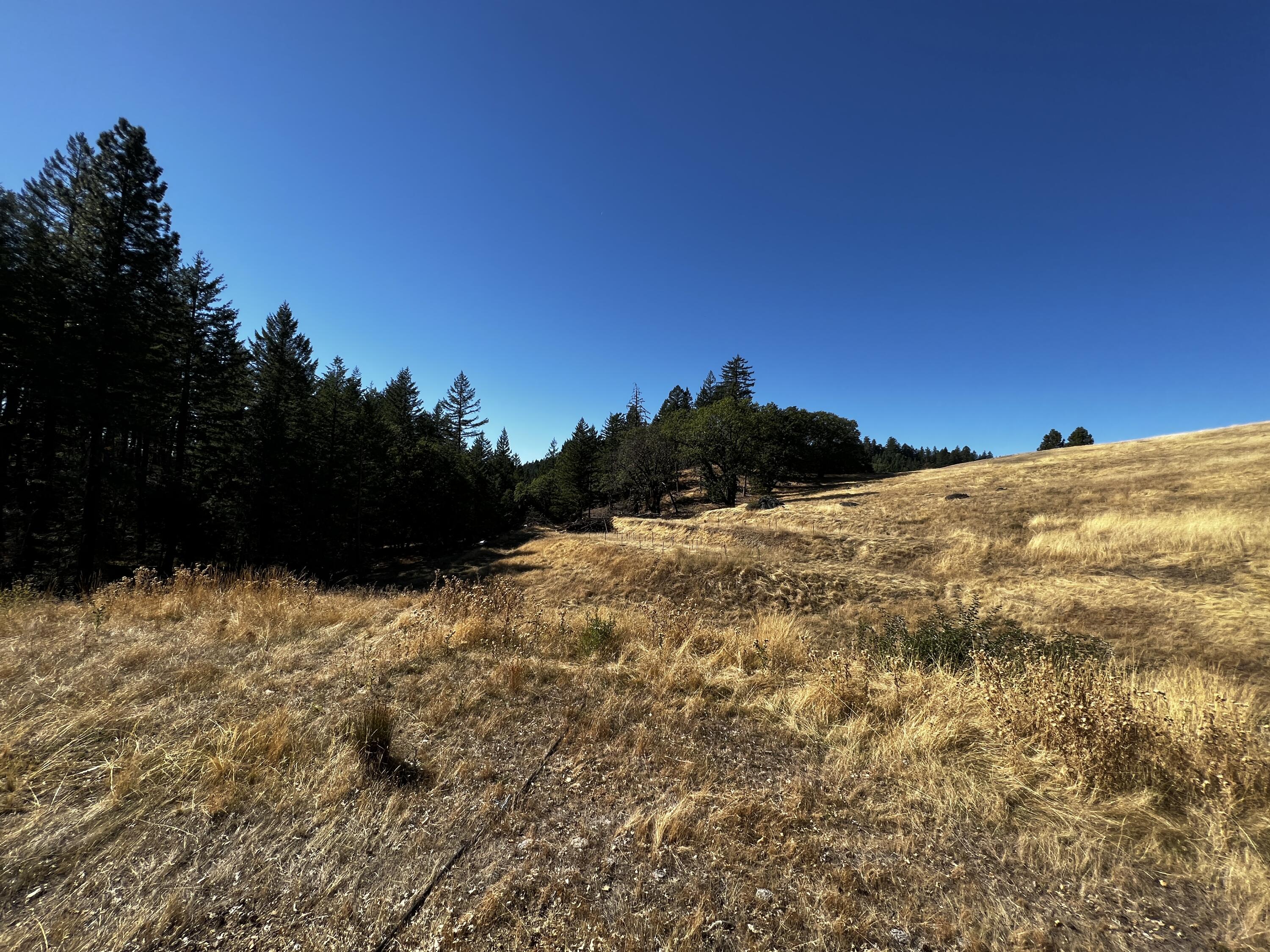 80-acre Bluff Creek Road Zenia, CA 95595 - Photo 9 of 27