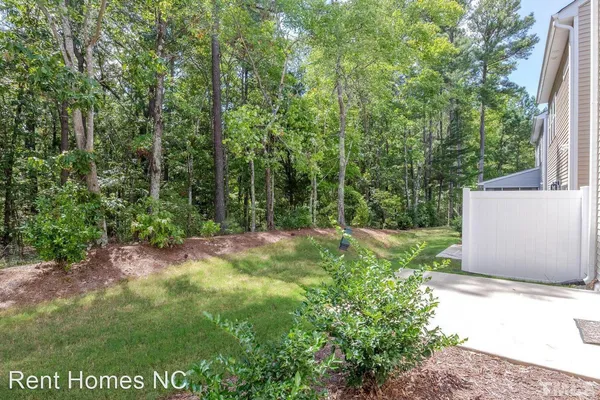 a view of a yard with large trees